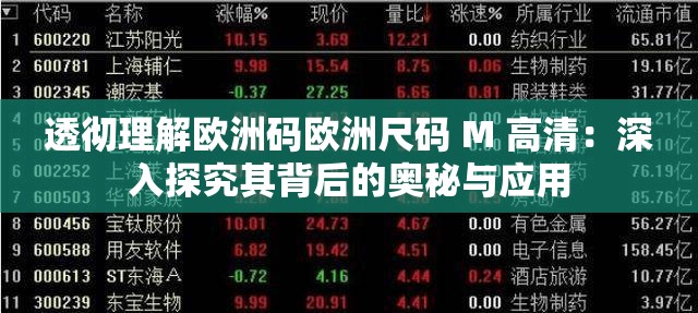 透彻理解欧洲码欧洲尺码 M 高清：深入探究其背后的奥秘与应用