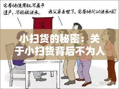 小扫货的秘密：关于小扫货背后不为人知的那些事儿