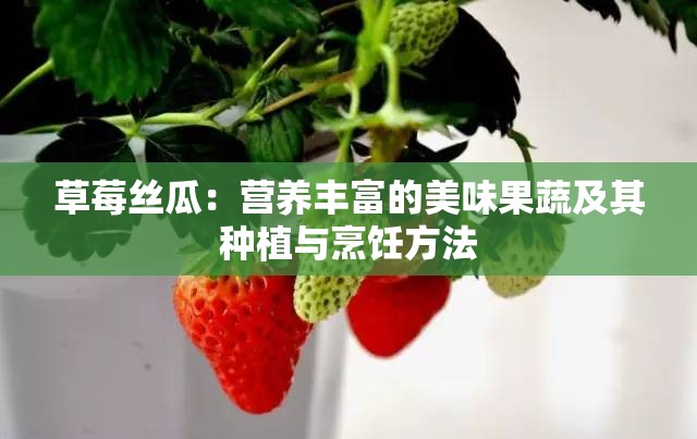 草莓丝瓜：营养丰富的美味果蔬及其种植与烹饪方法