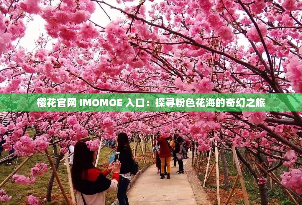 樱花官网 IMOMOE 入口：探寻粉色花海的奇幻之旅