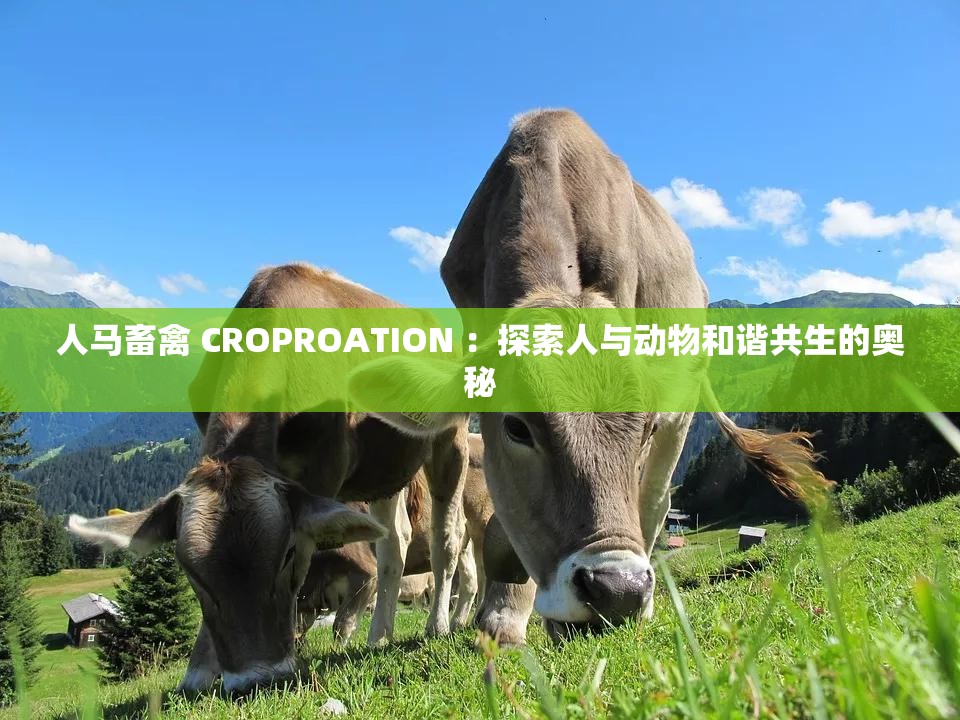 人马畜禽 CROPROATION ：探索人与动物和谐共生的奥秘