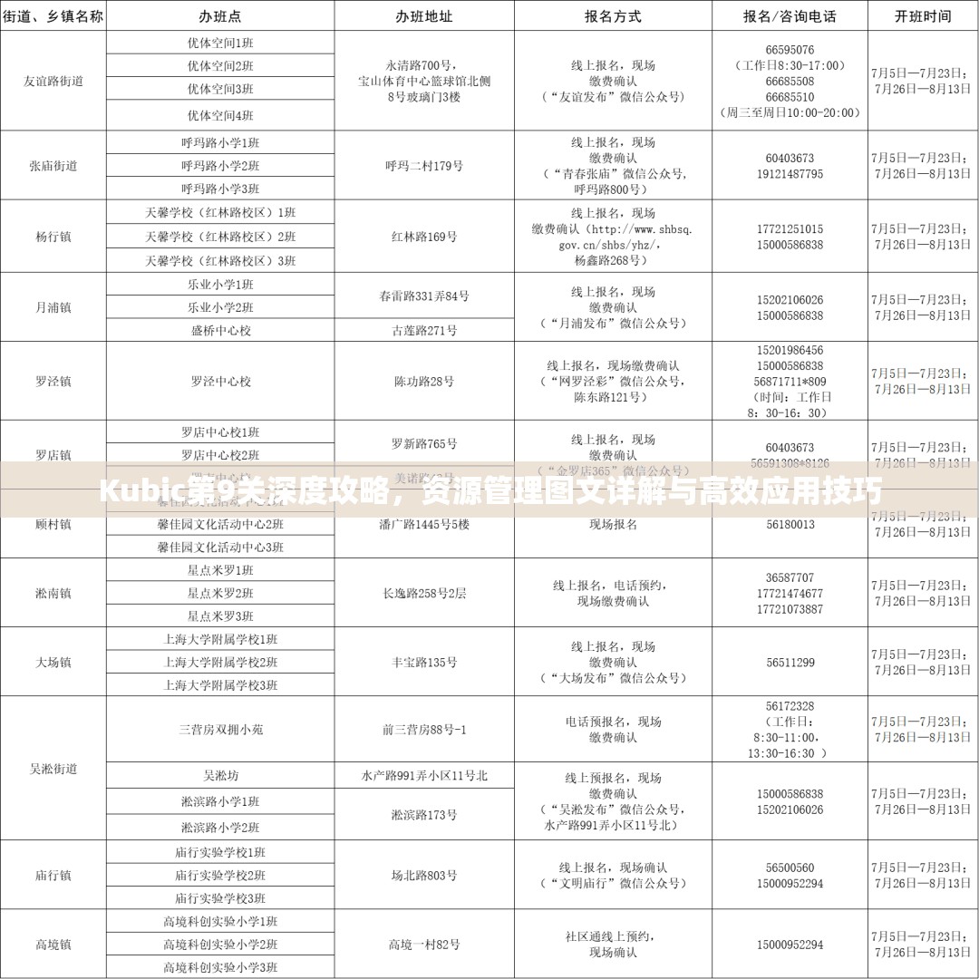 Kubic第9关深度攻略，资源管理图文详解与高效应用技巧