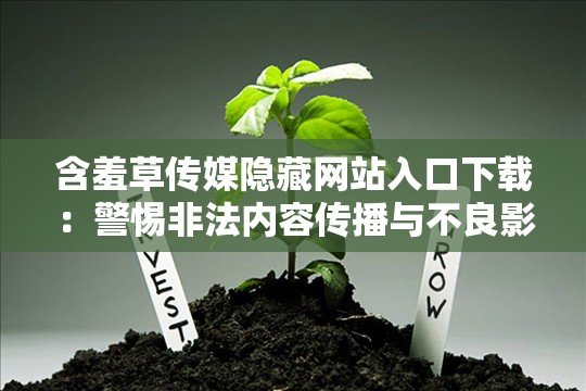 含羞草传媒隐藏网站入口下载：警惕非法内容传播与不良影响