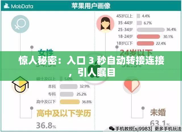 惊人秘密：入口 3 秒自动转接连接，引人瞩目