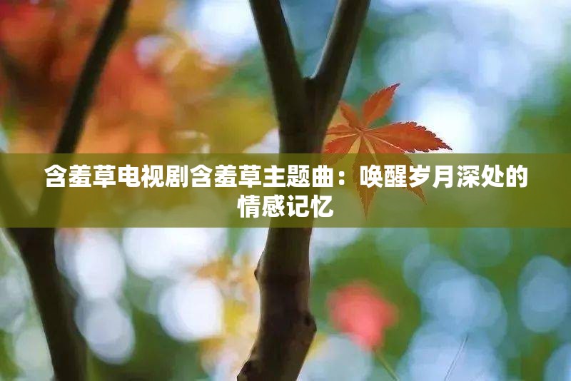 含羞草电视剧含羞草主题曲：唤醒岁月深处的情感记忆