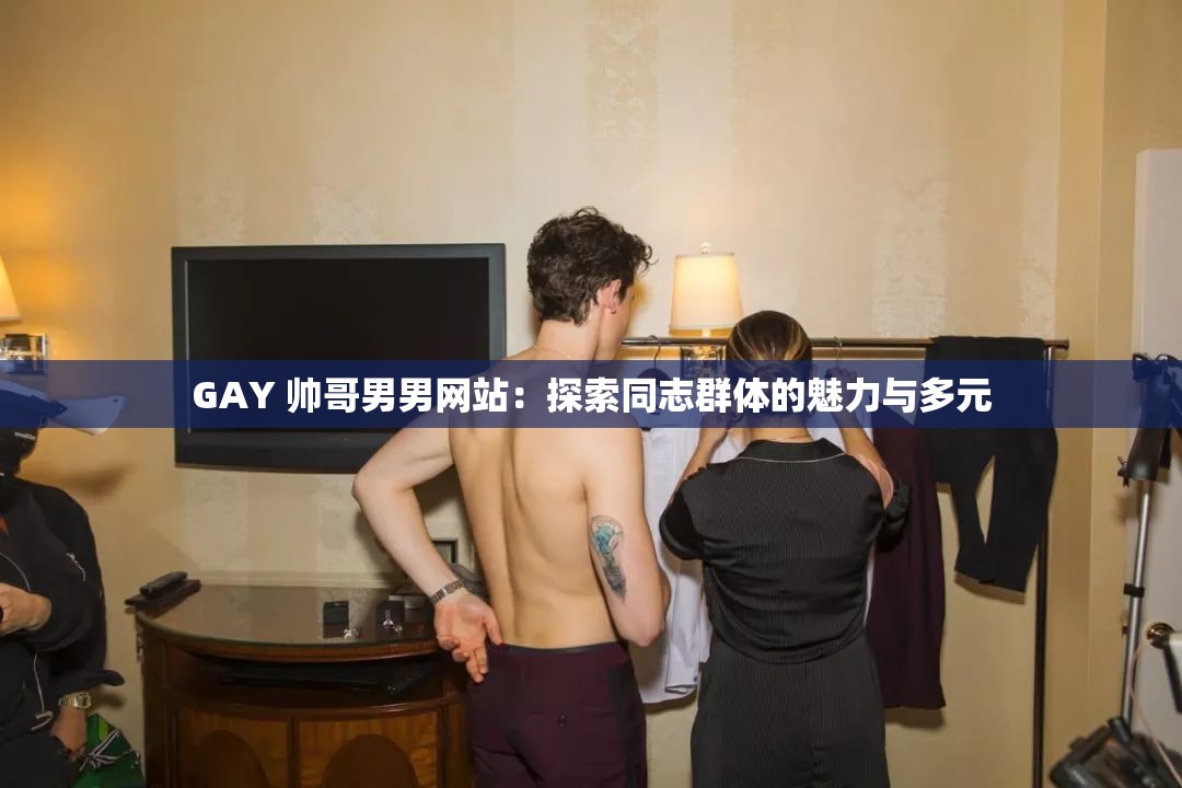 GAY 帅哥男男网站：探索同志群体的魅力与多元