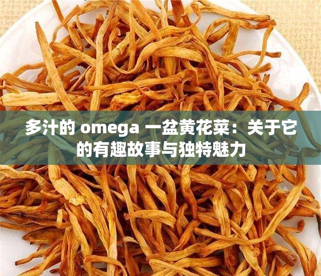 多汁的 omega 一盆黄花菜：关于它的有趣故事与独特魅力