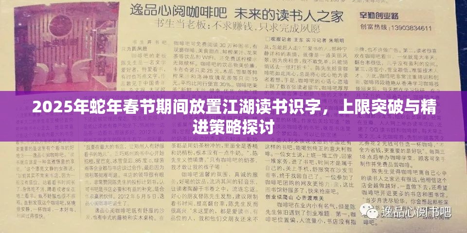 2025年蛇年春节期间放置江湖读书识字，上限突破与精进策略探讨