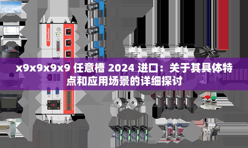 x9x9x9x9 任意槽 2024 进口：关于其具体特点和应用场景的详细探讨