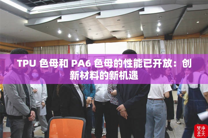 TPU 色母和 PA6 色母的性能已开放：创新材料的新机遇