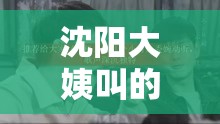 沈阳大姨叫的真好听：充满独特韵味的地域之声