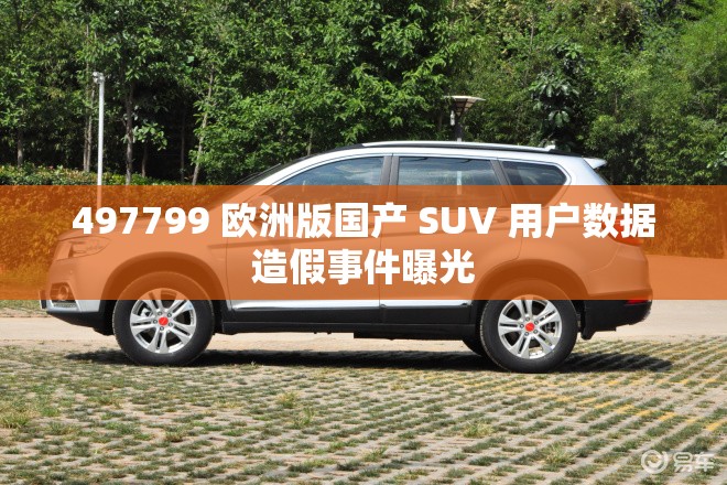 497799 欧洲版国产 SUV 用户数据造假事件曝光