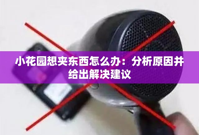 小花园想夹东西怎么办：分析原因并给出解决建议