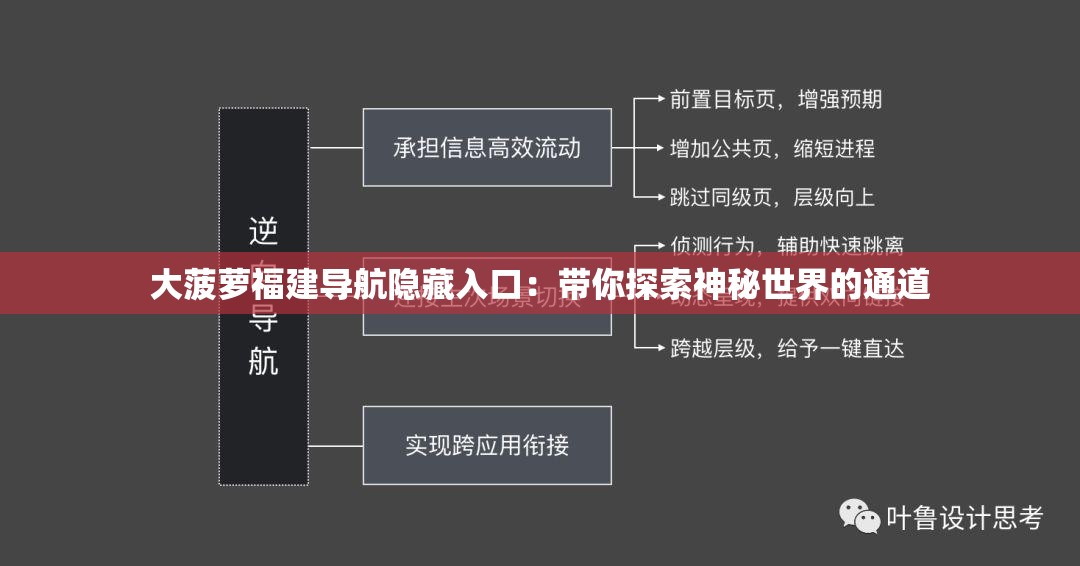 大菠萝福建导航隐藏入口：带你探索神秘世界的通道