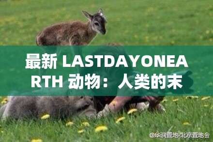 最新 LASTDAYONEARTH 动物：人类的末日启示？