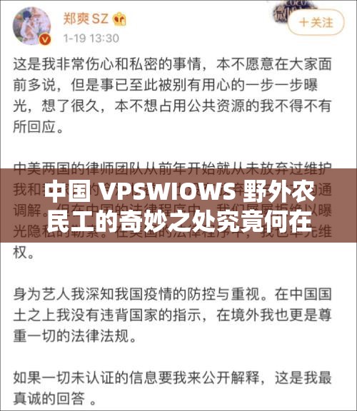 中国 VPSWIOWS 野外农民工的奇妙之处究竟何在