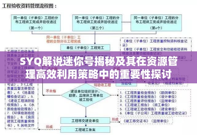 SYQ解说迷你号揭秘及其在资源管理高效利用策略中的重要性探讨