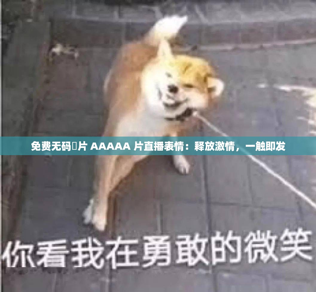 免费无码婬片 AAAAA 片直播表情：释放激情，一触即发