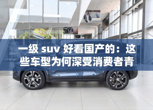 一级 suv 好看国产的：这些车型为何深受消费者青睐