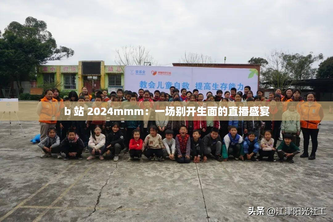 b 站 2024mmm：一场别开生面的直播盛宴