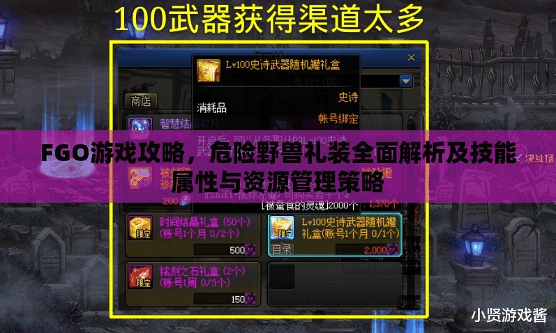 FGO游戏攻略，危险野兽礼装全面解析及技能属性与资源管理策略