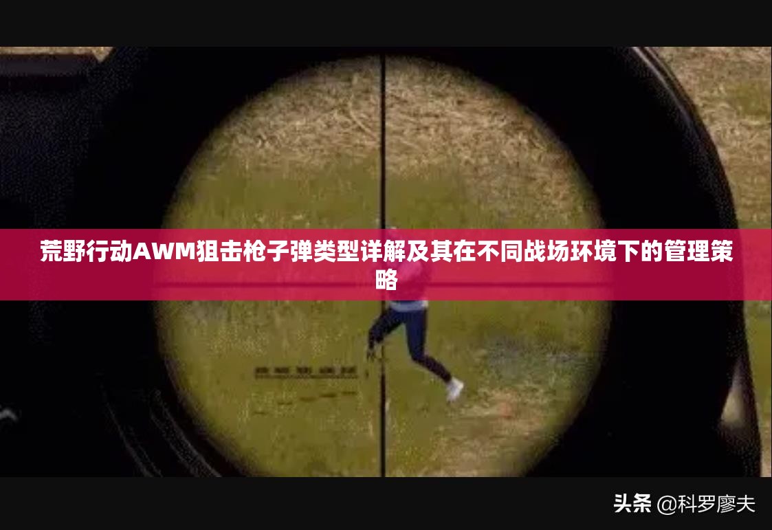 荒野行动AWM狙击枪子弹类型详解及其在不同战场环境下的管理策略