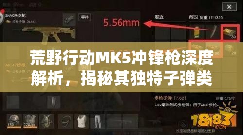 荒野行动MK5冲锋枪深度解析，揭秘其独特子弹类型与非凡战斗魅力