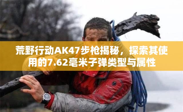 荒野行动AK47步枪揭秘，探索其使用的7.62毫米子弹类型与属性