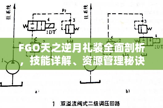 FGO天之逆月礼装全面剖析，技能详解、资源管理秘诀及价值最大化策略