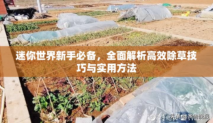 迷你世界新手必备，全面解析高效除草技巧与实用方法