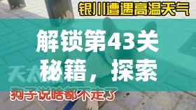 解锁第43关秘籍，探索摔个狗吃屎的奇妙之旅，揭秘隐藏关卡奥秘