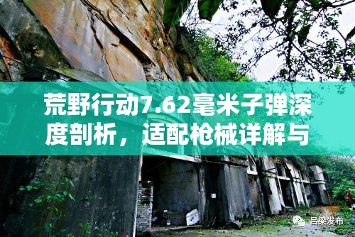 荒野行动7.62毫米子弹深度剖析，适配枪械详解与实战策略运用