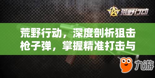 荒野行动，深度剖析狙击枪子弹，掌握精准打击与高效资源管理的艺术