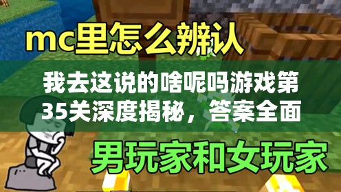 我去这说的啥呢吗游戏第35关深度揭秘，答案全面揭晓及趣味细节解析