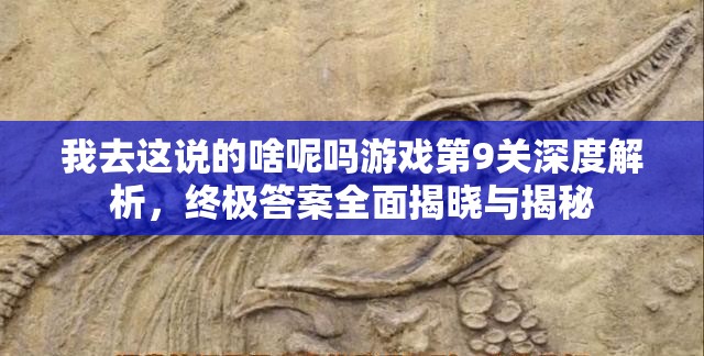 我去这说的啥呢吗游戏第9关深度解析，终极答案全面揭晓与揭秘