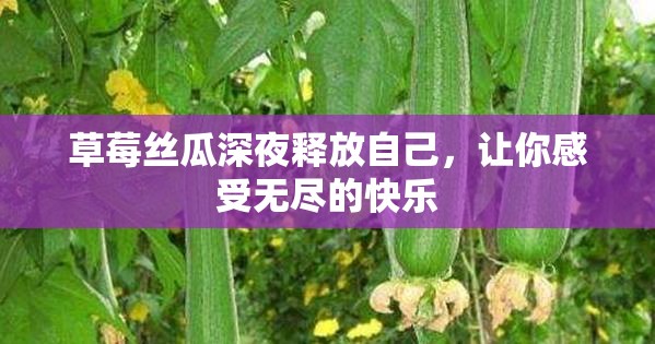 草莓丝瓜深夜释放自己，让你感受无尽的快乐