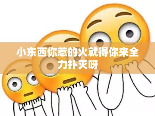 小东西你惹的火就得你来全力扑灭呀