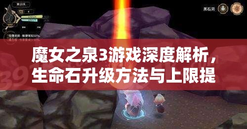 魔女之泉3游戏深度解析，生命石升级方法与上限提升全攻略