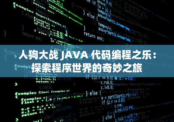 人狗大战 JAVA 代码编程之乐：探索程序世界的奇妙之旅