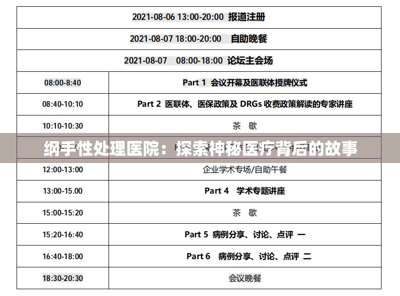 纲手性处理医院：探索神秘医疗背后的故事