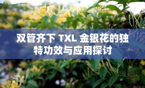 双管齐下 TXL 金银花的独特功效与应用探讨