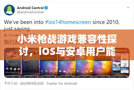 小米枪战游戏兼容性探讨，iOS与安卓用户能否实现并肩作战？