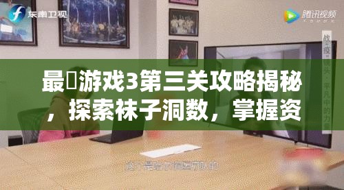 最囧游戏3第三关攻略揭秘，探索袜子洞数，掌握资源管理技巧与价值最大化策略