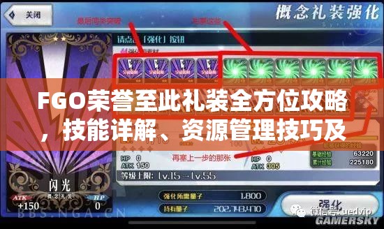 FGO荣誉至此礼装全方位攻略，技能详解、资源管理技巧及高效使用防浪费策略