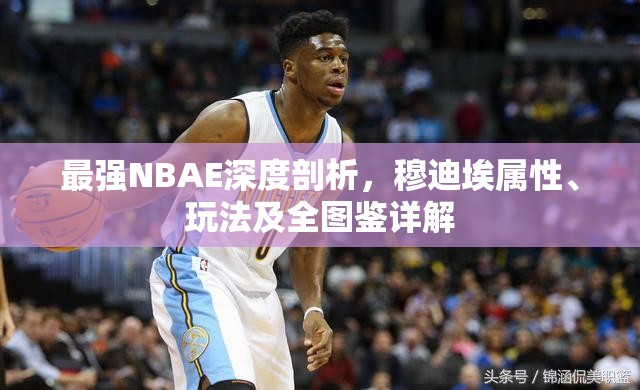 最强NBAE深度剖析，穆迪埃属性、玩法及全图鉴详解