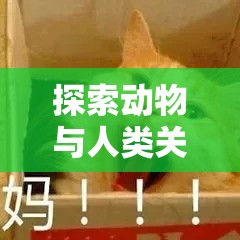 探索动物与人类关系的深层含义：他妈的兽交高潮背后的心理学与社会学分析