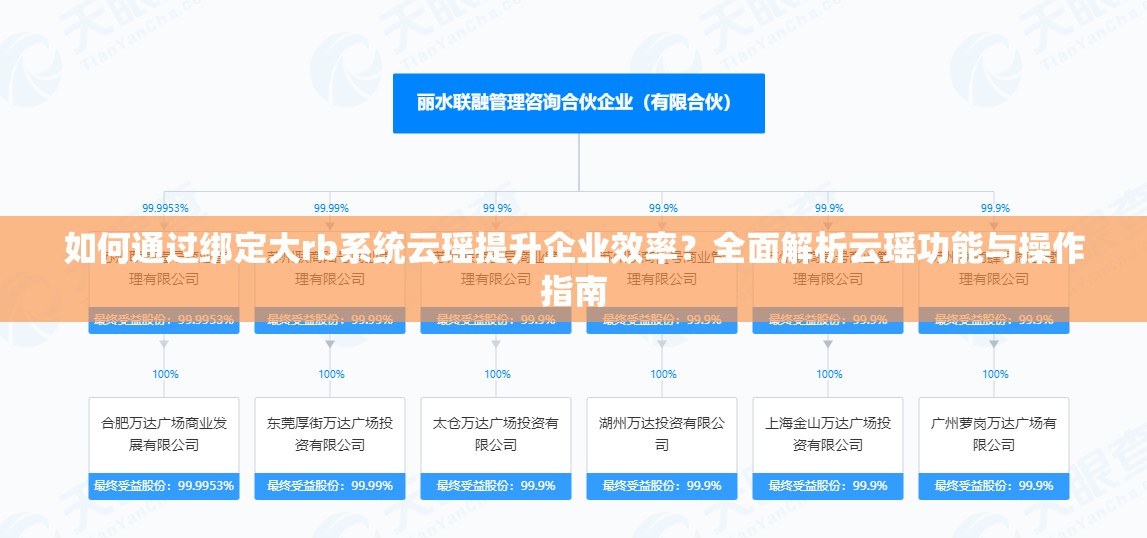 如何通过绑定大rb系统云瑶提升企业效率？全面解析云瑶功能与操作指南