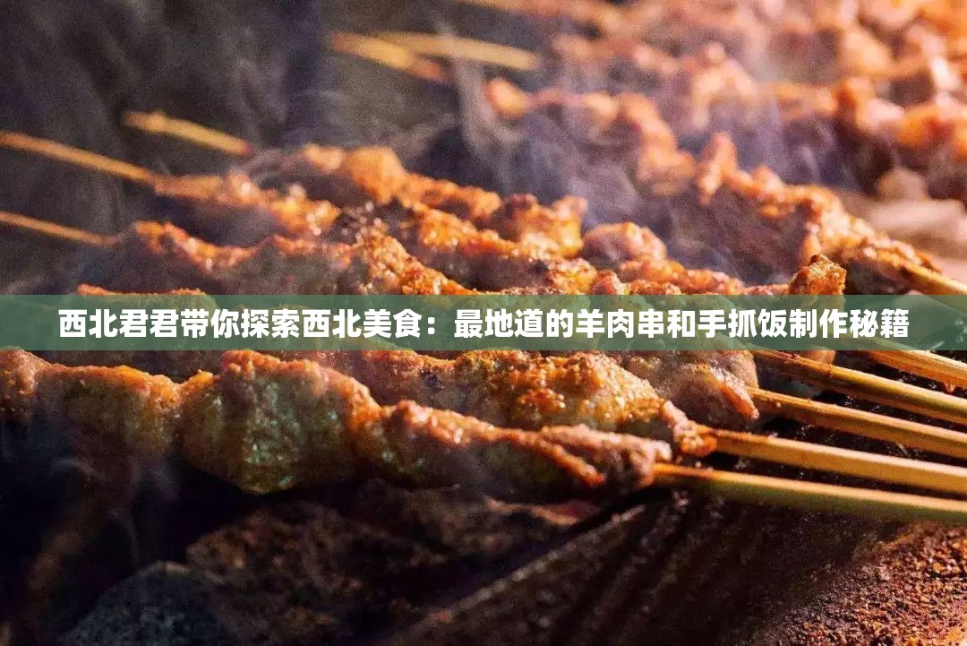 西北君君带你探索西北美食：最地道的羊肉串和手抓饭制作秘籍