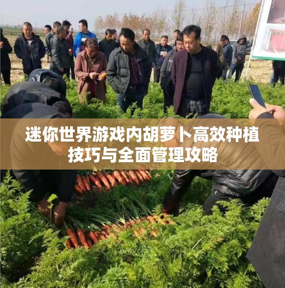 迷你世界游戏内胡萝卜高效种植技巧与全面管理攻略