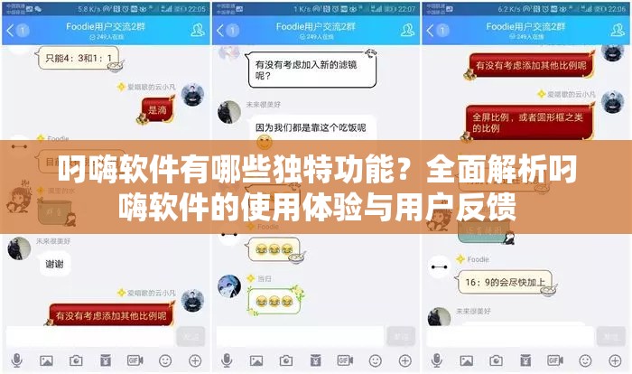 叼嗨软件有哪些独特功能？全面解析叼嗨软件的使用体验与用户反馈